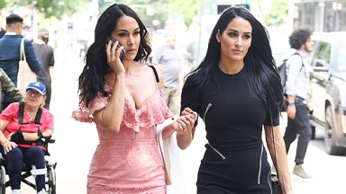 nikki bella brie bella