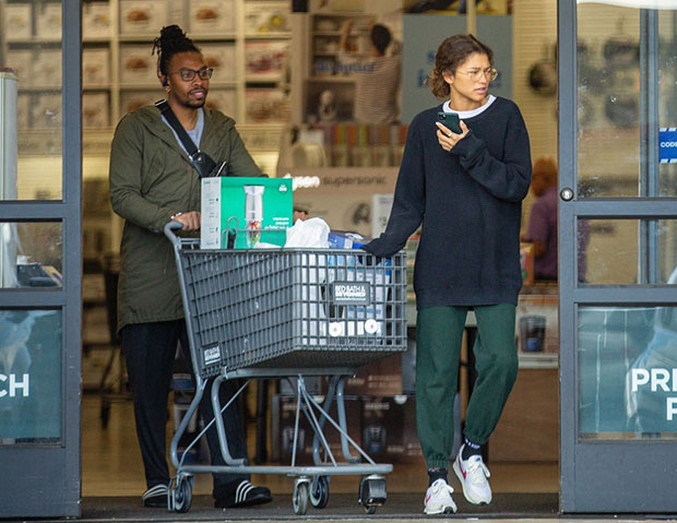Zendaya grocery shopping with her brother in LA