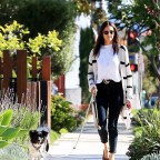 Nina Dobrev walks her dog in LA