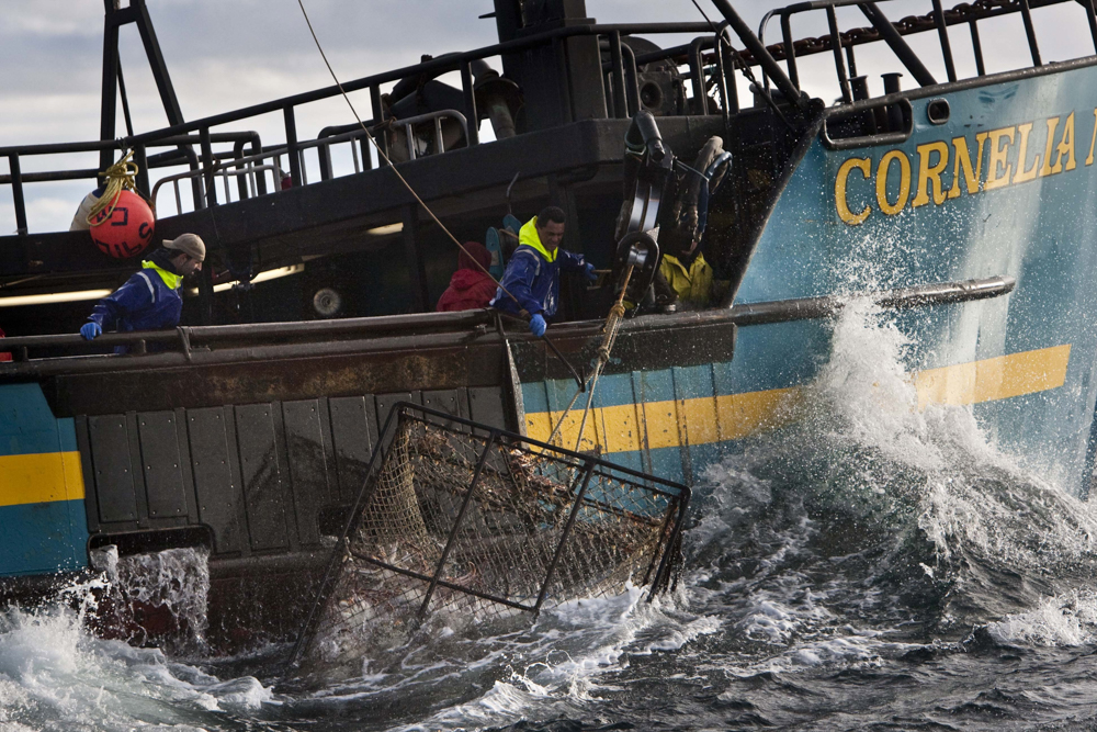 Editorial use only. No book cover usage.Mandatory Credit: Photo by Discovery Network/Kobal/Shutterstock (5874292a)Deadliest Catch - Crab Fishing In Alaska (2010)Deadliest Catch - Crab Fishing In Alaska - 2010Discovery NetworkUSATelevision