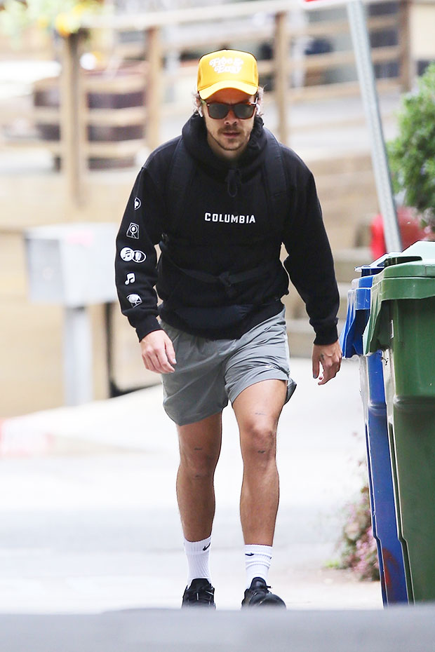 Harry Styles Rocks Short Shorts During Hike In Los Angeles – Pics ...