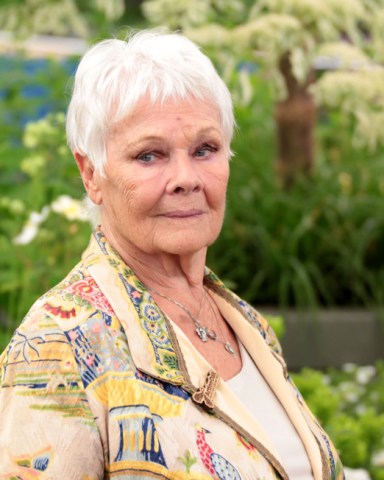 Judi Dench
RHS Chelsea Flower Show, Press Day, London, UK - 20 May 2019
The Royal Horticultural Society Chelsea Flower Show is an annual garden show held over five days in the grounds of the Royal Hospital Chelsea in West London. The show is open to the public from 21 May until 25 May 2019.