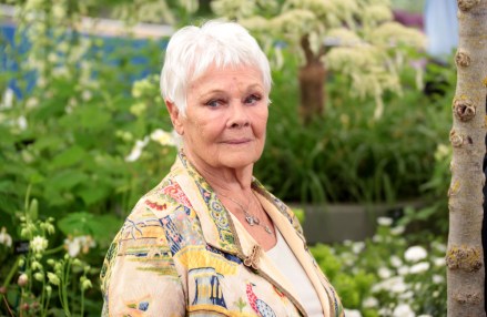 Judi Dench
RHS Chelsea Flower Show, Press Day, London, UK - 20 May 2019
The Royal Horticultural Society Chelsea Flower Show is an annual garden show held over five days in the grounds of the Royal Hospital Chelsea in West London. The show is open to the public from 21 May until 25 May 2019.