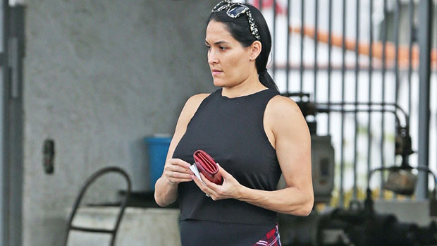 Brie & Nikki Bella Show Off Their Big Baby Bumps While Out To Lunch –  Hollywood Life