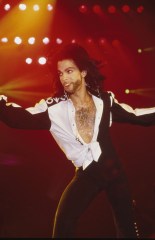 Prince in concert at Wembley Arena, London, Britain
Various