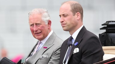 prince charles, prince william