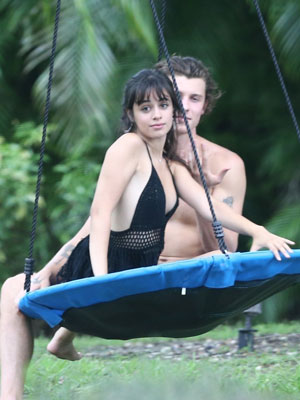 Camila Cabello, Shawn Mendes