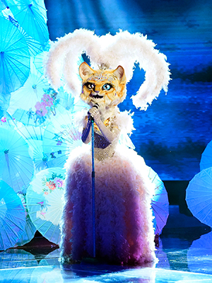 The Masked Singer