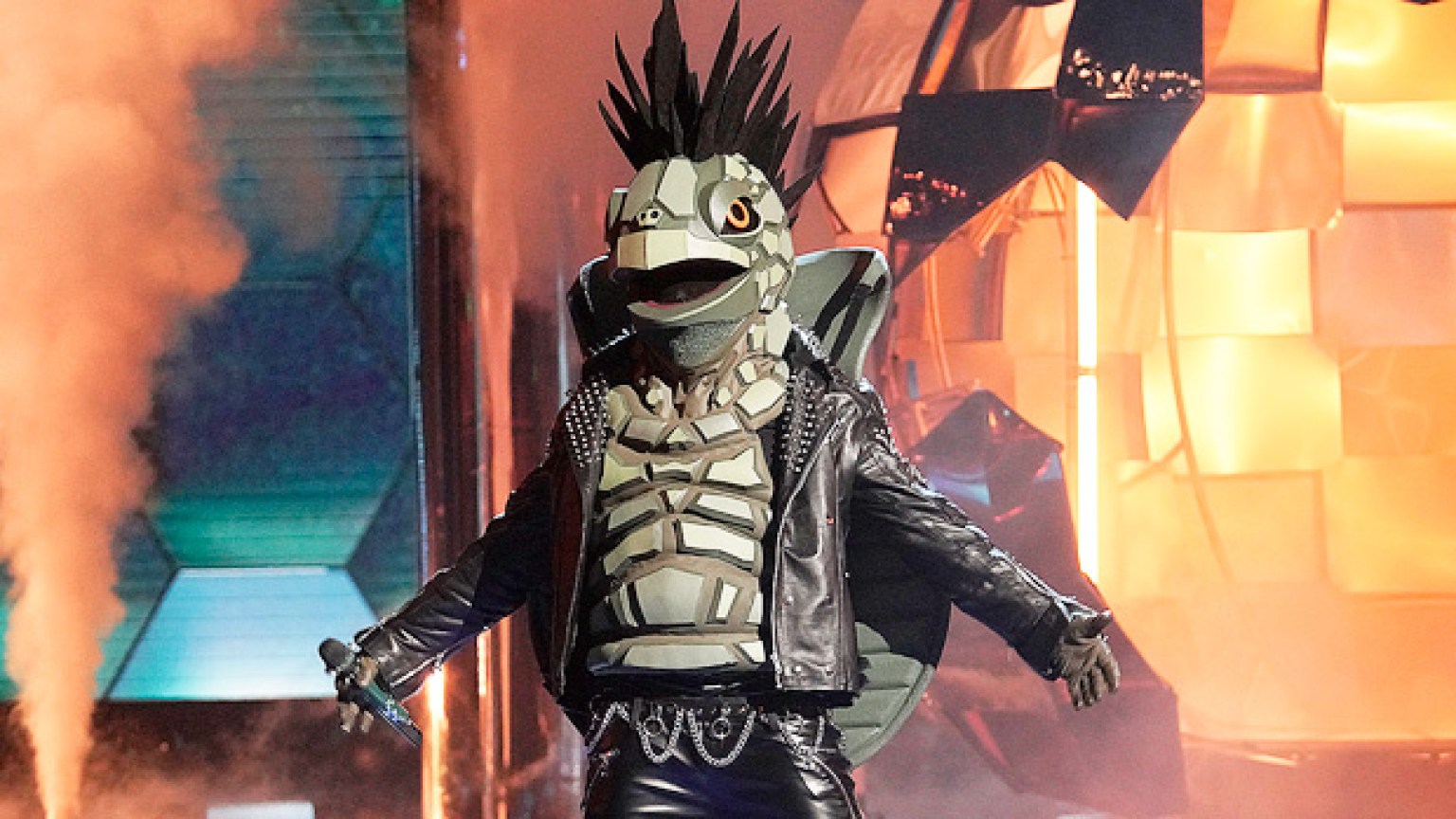 ‘The Masked Singer’s Turtle The Top Clues About The Star’s Identity