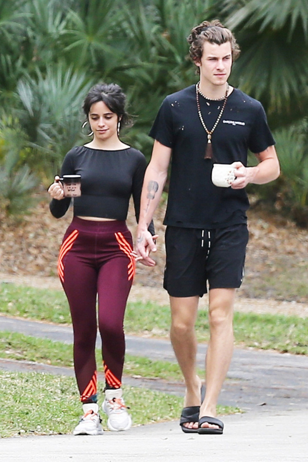 Camila Cabello, Shawn Mendes