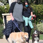 Ben Affleck and Ana de Armas taking Seraphina Affleck and Samuel Affleck to walk the dogs in Los Angeles