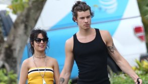 Camila Cabello, Shawn Mendes