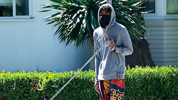 Chadwick Boseman walking his dog