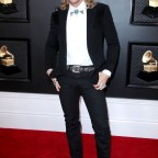 diplo  62nd Annual Grammy Awards, Arrivals