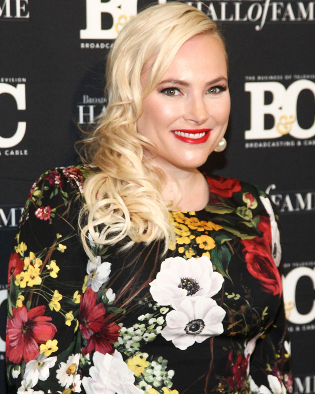 Meghan Mccain Shows Grey Hair From Quarantine Wanna Join My Coven Hollywood Life