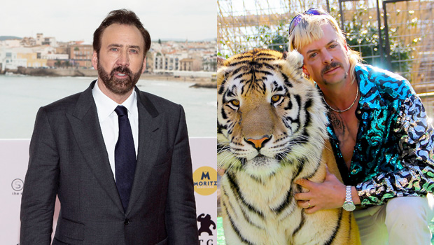 Nicolas Cage, Joe Exotic