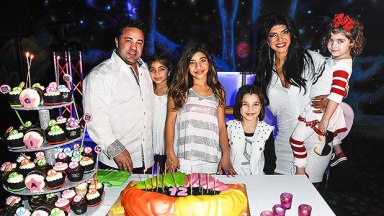 Teresa Giudice, Joe Giudice