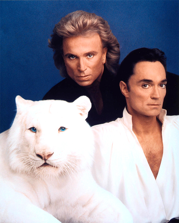 siegfried and roy stuffed tiger