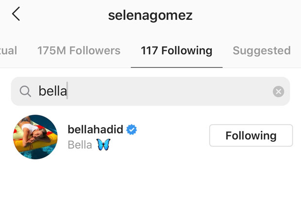 Selena Gomez, Bella Hadid