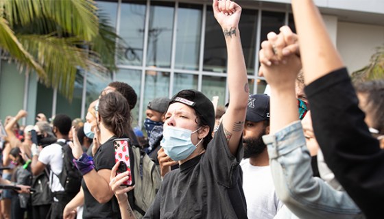Halsey protesting