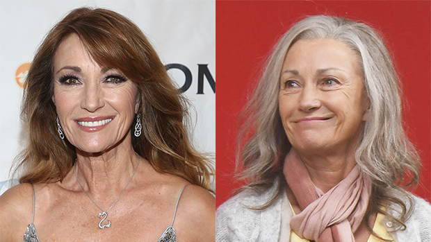 Jane Seymour Rocks A Grey Hair Makeover: See Before ...