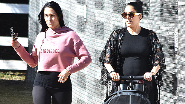 Nikki And Brie Bella Show Off Their 9 Month Bumps In New