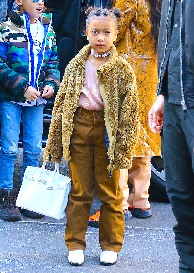 north west birkin bag