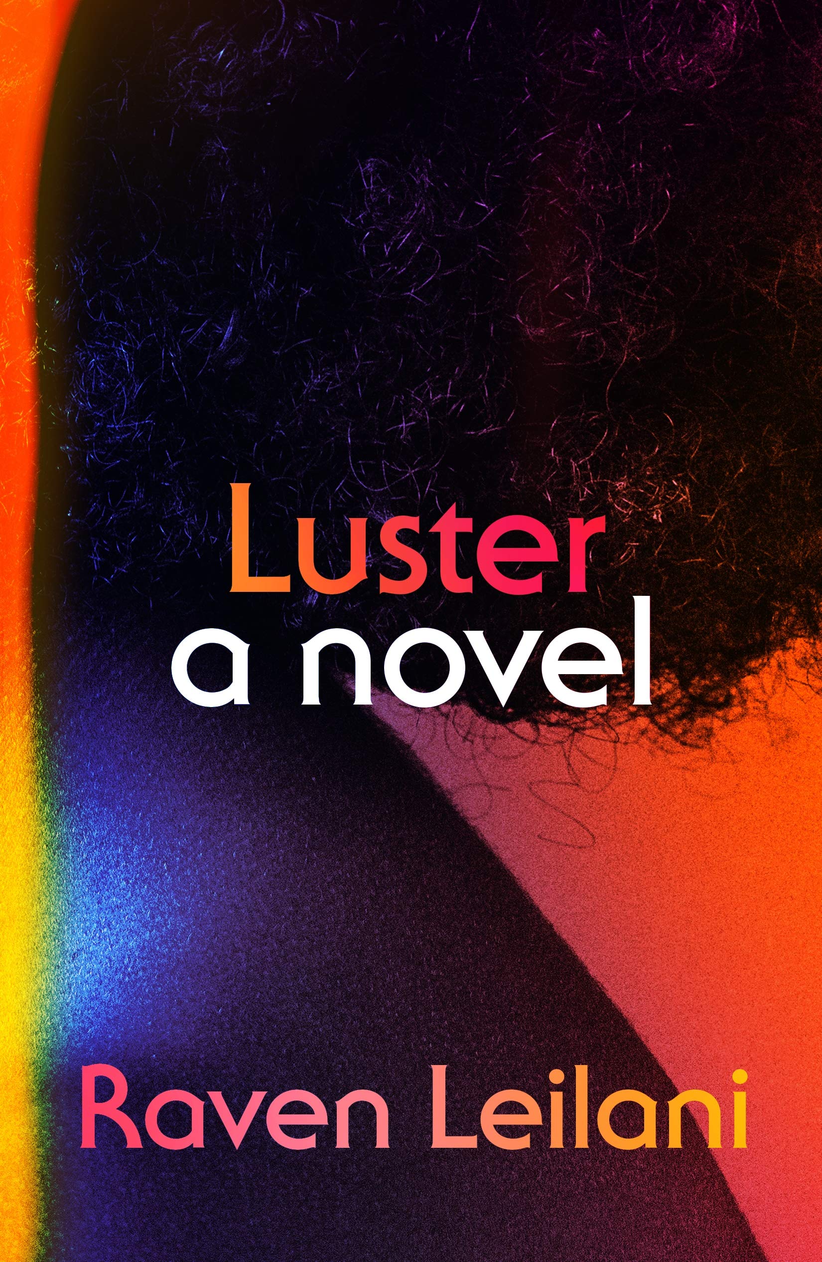 luster a novel