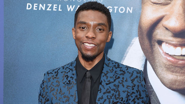 Chadwick Boseman May Have Hinted At Cancer Battle In 2017 Interview