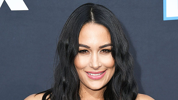 Brie Bella Snuggles With Baby Buddy In Cute Photo – Hollywood Life