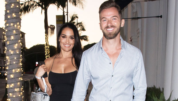 Artem Chigvintsev Nikki Bella