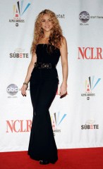 Shakira poses backstage at the 2008 ALMA Awards in Pasadena, Calif., Sunday, Aug. 17, 2008. (AP Photo/Chris Pizzello)