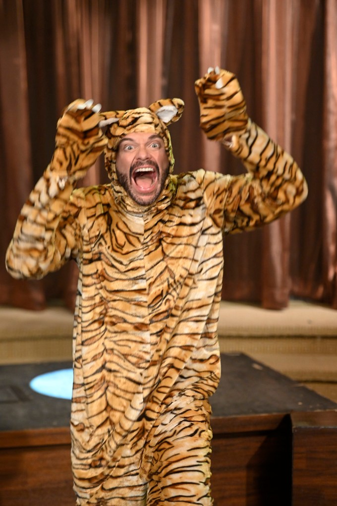 Ryan Seacrest As Tiger