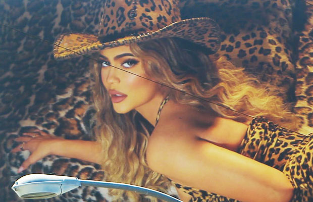 Kylie Jenner Looks Like Beyonce's Twin In New Leopard Cosmetics Ad