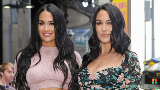 Nikki Bella Shares ‘Mom Twerks’ Video Of Sister Brie Bella After Birth ...