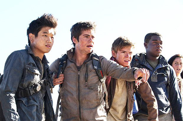 The Maze Runner