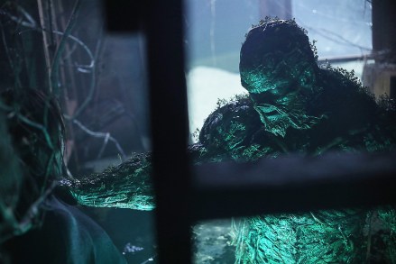 SWP102 -- "Worlds Apart" -- Image Number: SWP102e_0188r -- Pictured: Derek Mears as Swamp Thing -- Photo Credit: Fred Norris/2020 Warner Bros. Entertainment Inc. All Rights Reserved.