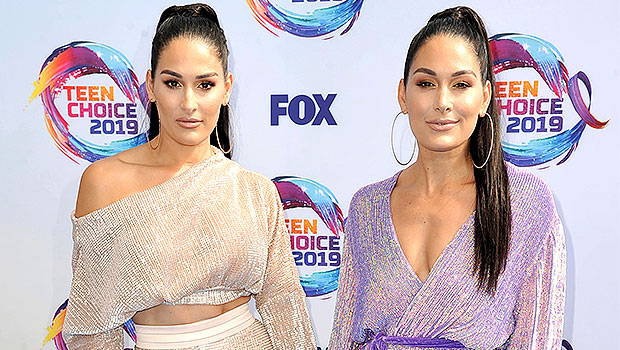 Nikki & Brie Bella’s Hottest Photos On The Red Carpet – Hollywood Life