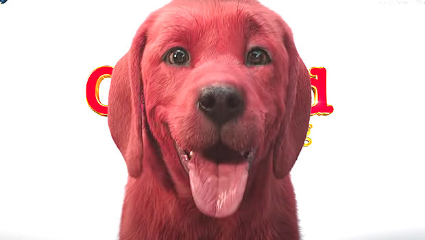 Clifford the Big Red Dog film teaser unnerves fans with a dog that's 'too  realistic