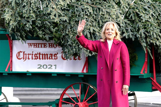 Jill Biden With The White House Christmas Tree