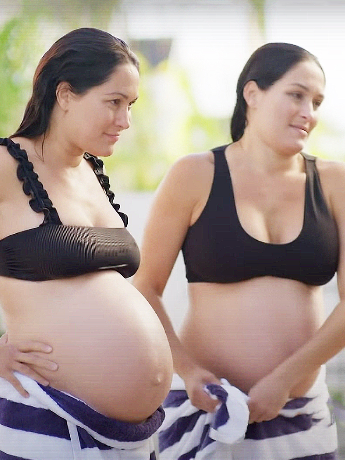 Nikki Bella, Brie Bella