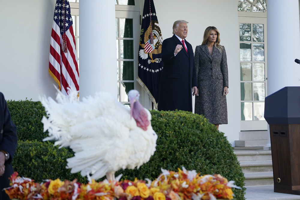 President Donald Trump speaks before pardoning Corn, the national Thanksgiving turkey, in the Rose Garden of the White House, Tuesday, Nov. 24, 2020, in Washington, as first lady Melania Trump watches. (AP Photo/Susan Walsh)