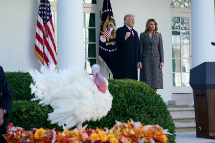 President Donald Trump speaks before pardoning Corn, the national Thanksgiving turkey, in the Rose Garden of the White House, Tuesday, Nov. 24, 2020, in Washington, as first lady Melania Trump watches. (AP Photo/Susan Walsh)