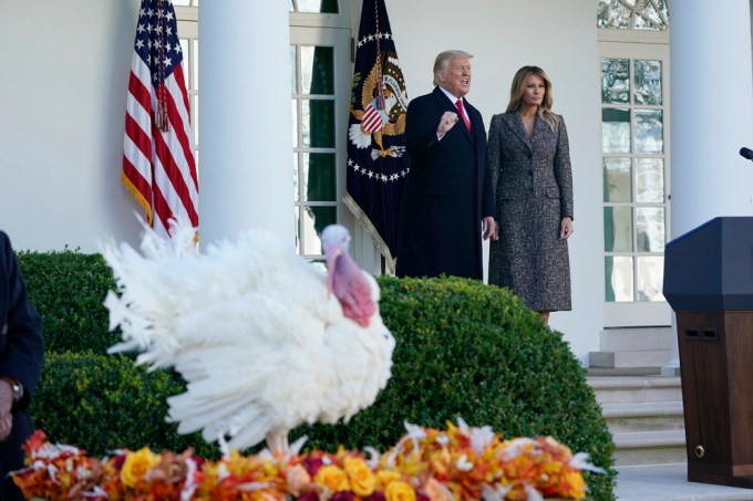 White House Turkey Pardon 2020