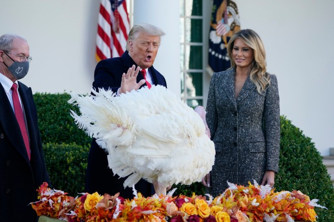 Donald Trump Pardoning A Turkey