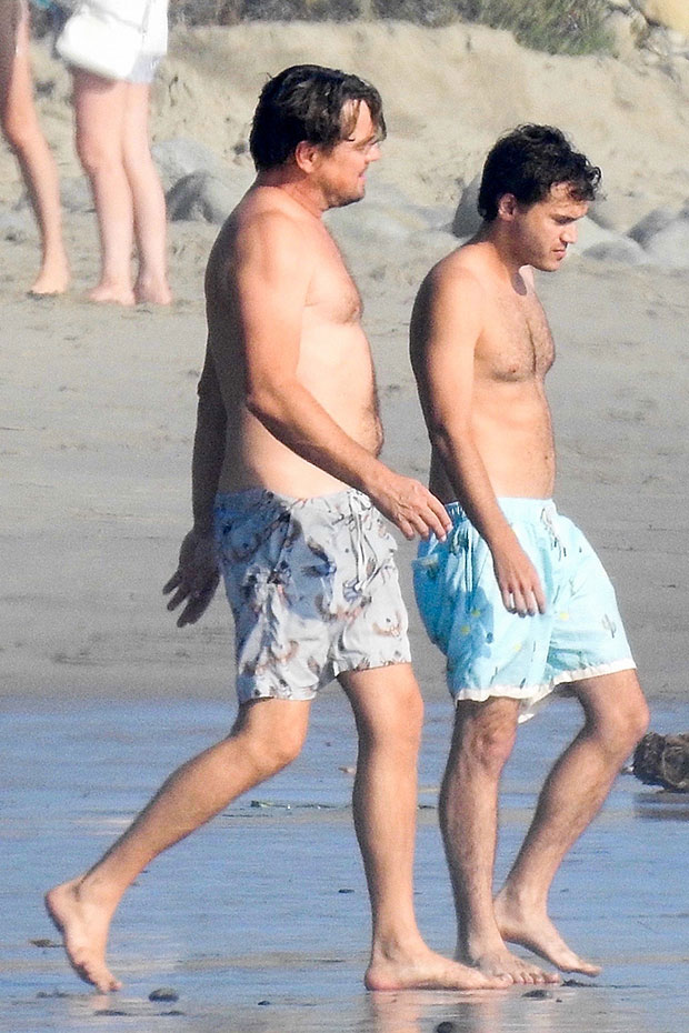 Leonardo DiCaprio & Emile Hirsch Shirtless In Malibu Beach ...