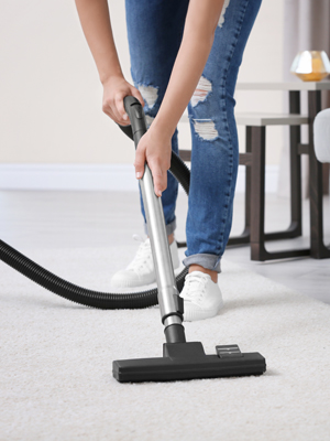 Eureka Stick Vacuum