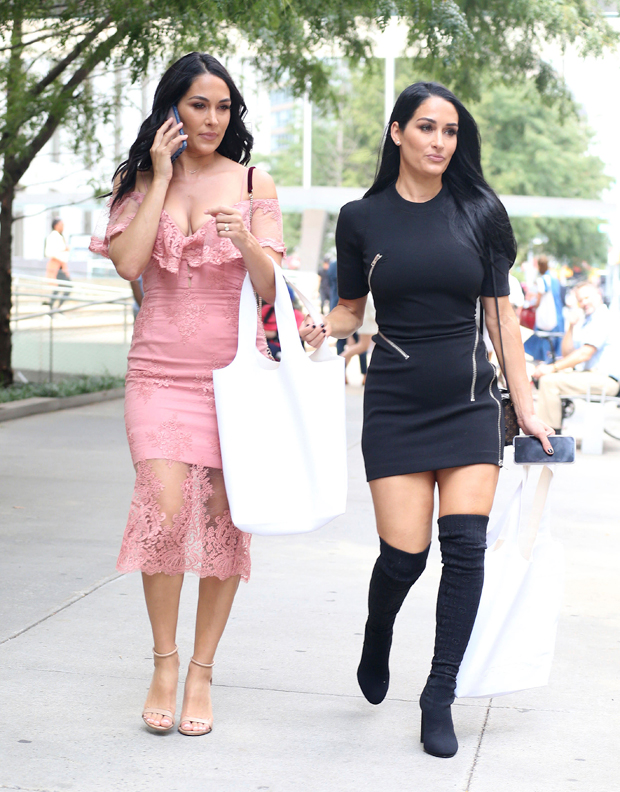 Brie and Nikki Bella model mini dresses for the 2019 Couture Council Award  Luncheon in New York City