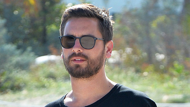 Scott Disick Amelia Hamlin A Relationship Update Amid Flirty Comments Hollywood Life