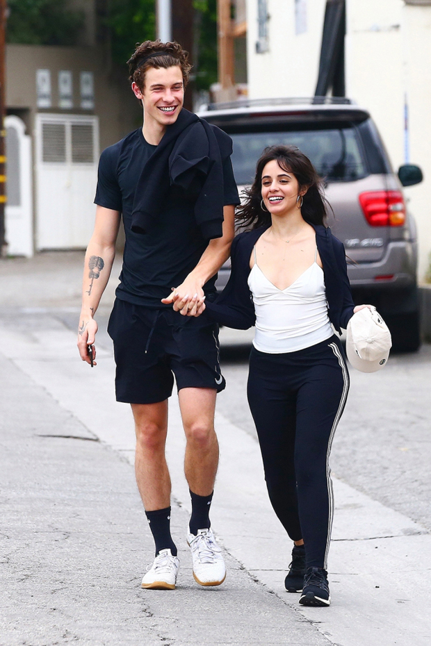 Shawn Mendes & Camila Cabello's Relationship Timeline: They Reunited?